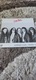 Zdjęcie oferty: Lady pank- Zawsze tam gdzie ty lp 1990 ZPR records 