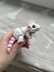 Zdjęcie oferty: Flexi figurka 3D mały biały szczur szczurek fidget toy ozdoba dekoracja