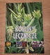 Zdjęcie oferty: Rośliny Lecznicze 