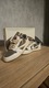 Zdjęcie oferty: Jordan 1 Low Travis Scott Reverse Mocha roz 43/44
