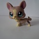 Zdjęcie oferty: Littlest Pet Shop lps piesek