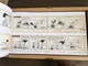 Zdjęcie oferty: PEANUTS Artist's Edition -  Charles Schulz 
