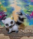 Zdjęcie oferty: Lalka Enchantimals Larissa Lemur z pupilem Ringlet