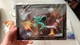 Zdjęcie oferty: Dust An Elysian Tail Indie Box Unikat PC gra