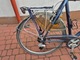 Zdjęcie oferty: Rower Gazelle Riacho