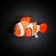 Zdjęcie oferty: Oryginalny Nemo Disney Parks „Finding Nemo”
