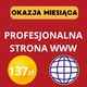Zdjęcie oferty: OKAZJA MIESIĄCA – Zdobądź Profesjonalną Stronę WWW za Jedynie 137 ZŁ! 