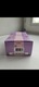 Zdjęcie oferty: Gianfranco Ferré Blooming Rose EDT 30 ml 
