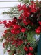 Zdjęcie oferty: Wieniec świąteczny na drzwi 35 cm