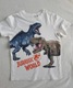 Zdjęcie oferty: Tshirty tshirt h&m 110/116 dinozaury jurassic park world bluzki koszulki