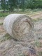 Zdjęcie oferty: Siano z pierwszego pokosu 120x120