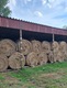 Zdjęcie oferty: Siano z pierwszego pokosu 120x120
