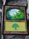 Zdjęcie oferty: Karta Forest Magic The Gathering 