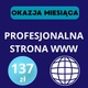 Zdjęcie oferty: OKAZJA MIESIĄCA – Zdobądź Profesjonalną Stronę WWW za Jedynie 137 ZŁ! 