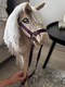 Zdjęcie oferty: Hobby Horse A4 - izabelowaty, nowy