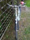 Zdjęcie oferty: Rower Damka GAZELLE 28'