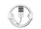 Zdjęcie oferty: Lightning USB-A 1M 8 pin do IPhone 6 7 8 X 11 12 13 14
