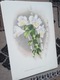 Zdjęcie oferty: Storczyki - Orchidee  reprint XIX w. grafik do aranżacji wnętrza