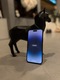 Zdjęcie oferty: iPhone 14 Pro Max Space Black | 256 GB | Piękny | Bateria 89%