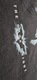 Zdjęcie oferty: Tshirt Joker M bawełna