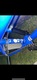 Zdjęcie oferty: Rower BMX Haro Leucadia 16