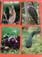 Zdjęcie oferty: D4707-D4718. POCZTÓWKI - „TAJEMNICE PUSZCZY - Fauna” - 12 szt. 