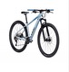 Zdjęcie oferty: Cube Access WS Race 29” L