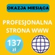 Zdjęcie oferty: OKAZJA MIESIĄCA – Zdobądź Profesjonalną Stronę WWW za Jedynie 137 ZŁ! 