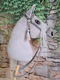 Zdjęcie oferty: Hobby Horse A3  siwek  -  zestaw