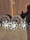 Zdjęcie oferty: koła 16'' z C4 Picasso - 2x lato 2x wielosezon. + 2x kołpaki citroen