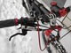 Zdjęcie oferty: Rower MTB bulls wild cup
