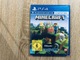 Zdjęcie oferty: Minecraft PL PS4 (CUSA-17908)