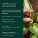 Zdjęcie oferty: PERFUMY BOTANICZNE dla czakry splotu słonecznego: wetiweria / bergamotka