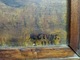 Zdjęcie oferty: Obraz olejny na sklejce w dębowej ramie 69x44cm