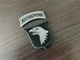 Zdjęcie oferty: Naszywka - US Army - 101st Airborne Division "Screaming Eagles" (ACU)