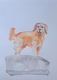 Zdjęcie oferty: Akwarela A5 "Golden Retriver" malowana ręcznie, pies, rasa, rudy