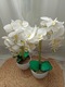 Zdjęcie oferty: STORCZYK SZTUCZNY ORCHIDEA BIAŁA W DONICZNE CERAMICZNEJ 3-PĘDOWY SILIKONOWY