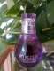 Zdjęcie oferty: Yves Rocher perfumy So Elixir Purple 30 ml. Nowa starsze wydanie rarytas