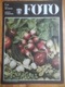 Zdjęcie oferty: Foto Magazyn Fotograficzny 6/1986