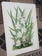Zdjęcie oferty: Storczyki - Orchidee  reprint XIX w. grafik do aranżacji wnętrza