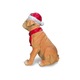 Zdjęcie oferty: Figura Dekoracja Pies z Czapką Mikołaja