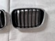Zdjęcie oferty: BMW X3 X4 G01 G02 Nerki Grill Atrapa LEWA + PRAWA ORYGINAŁ