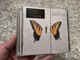 Zdjęcie oferty: PARAMORE Brand New Eyes CD TANIO OKAZJA 