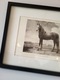 Zdjęcie oferty: Obraz rysunek postać konia w ramce (grafika Nr. 290 Paulus Potter)