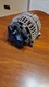 Zdjęcie oferty: Alternator 06F903023F regenerowany Audi Volkswagen Seat Skoda
