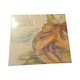 Zdjęcie oferty: BLEEDING MOSES COCONUT  CD FOLIA
