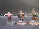 Zdjęcie oferty: Warhammer Age of sigmar old world chaos Khorne blood reavers