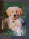 Zdjęcie oferty: puzzle Druon, Chiot Golden, 1000 elementów, używane, kompletne
