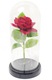 Zdjęcie oferty: WIECZNA RÓŻA W SZKLE ŚWIECĄCA LED PREZENT PUDEŁKO.