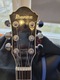 Zdjęcie oferty: IBANEZ DARKSTONE DN300, 2011 rok